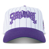 Survival two tone Pinstripe (grape purple)