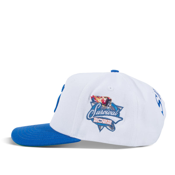 S logo two tone (blue/white)