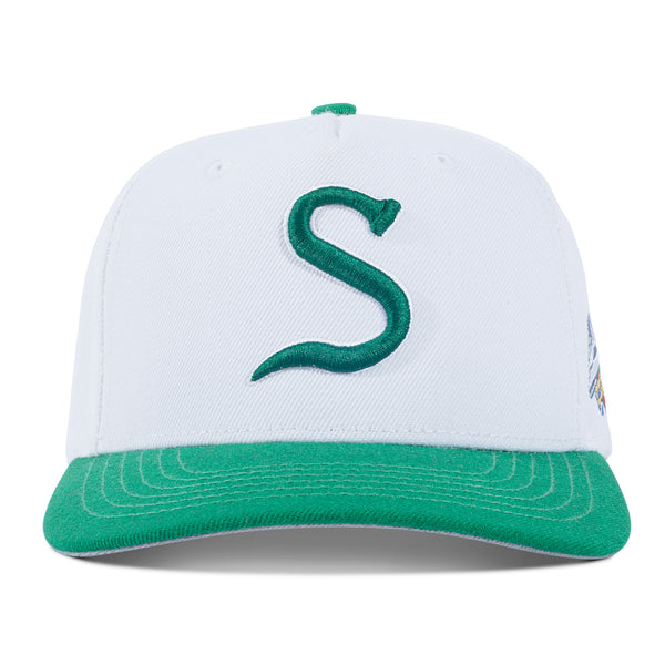 S logo two tone (green/white)